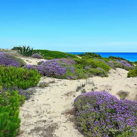 לינה וארוחת בוקר Lo Scrigno Del Salento סאווה