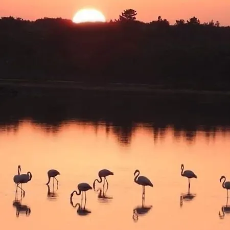 לינה וארוחת בוקר Lo Scrigno Del Salento