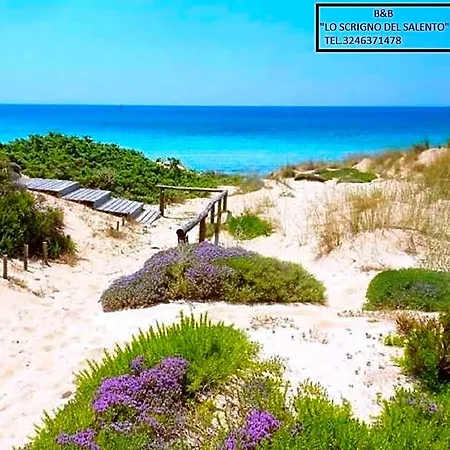 Lo Scrigno Del Salento Sava