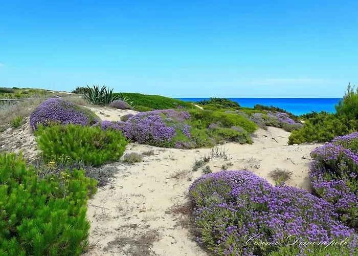 Bed & Breakfast Lo Scrigno Del Salento Sava